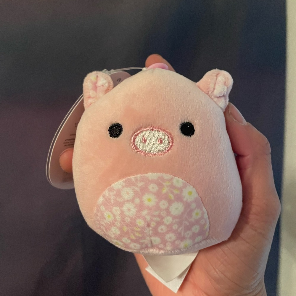 PETER the pig squishmallow clip